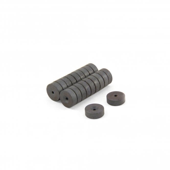 Ferrite Magnets (20pcs)