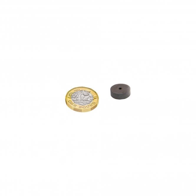 Ferrite Magnets (20pcs)